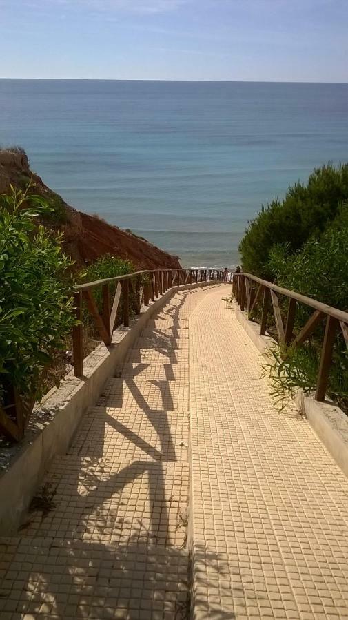 Apartamento MANDARÍN Orihuela Bagian luar foto